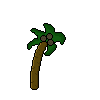 Palm Tree